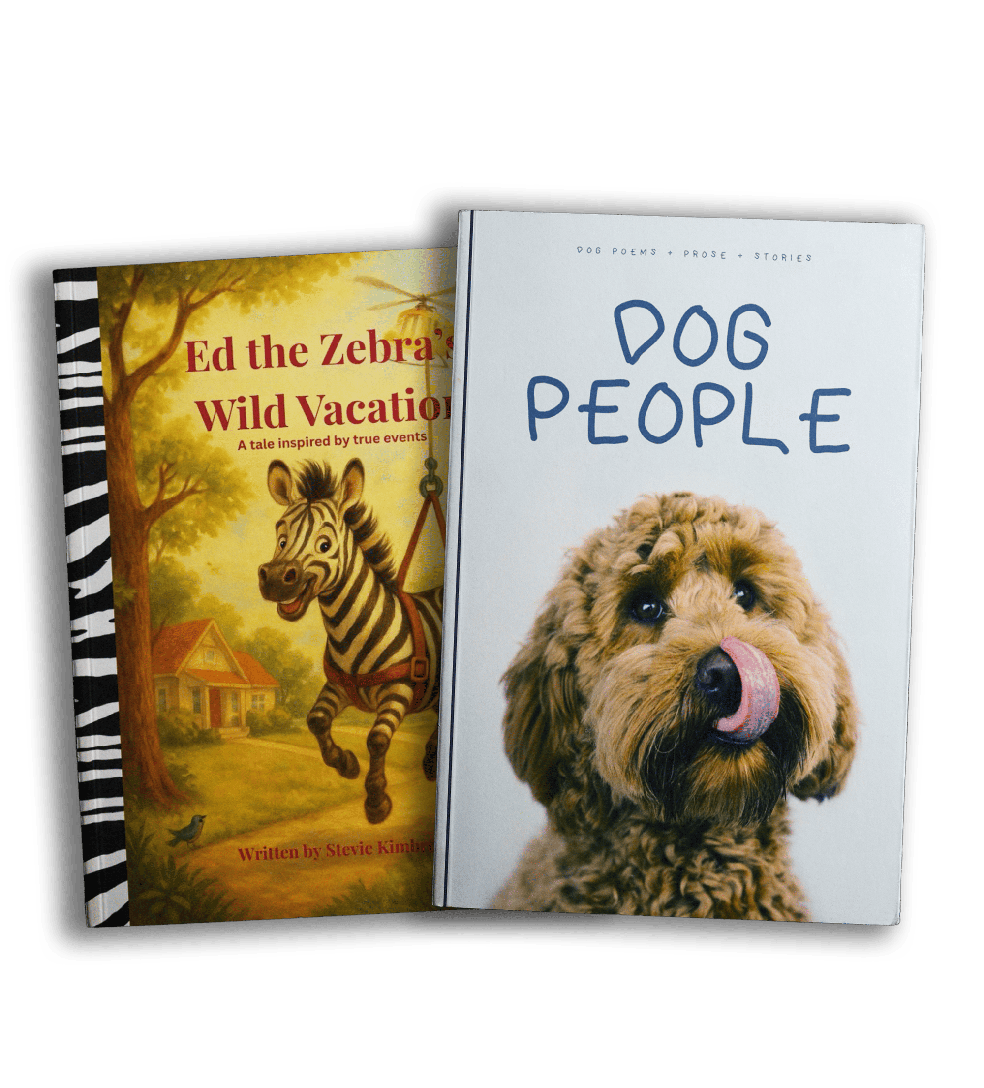 Contact Main Book Marketing